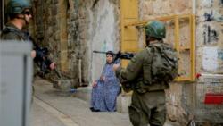 المركز الفلسطيني لحقوق الإنسان : 46 اعتداء نفذها المستوطنون خلال الربع الأول من 2025 في الخليل