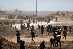 UNRWA: Gazans forced to crawl for aid amid Israeli gunfire, calls for safe deliveries