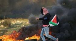  91 عملاً مقاومًا في الضفة الغربية والقدس خلال أسبوع