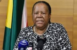 وزيرة خارجية جنوب إفريقيا: ما يحدث في فلسطين فصل عنصري