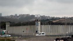  هيئة الأسرى الفلسطينية: معتقلو سجن مجدو في مواجهة المرض والجوع