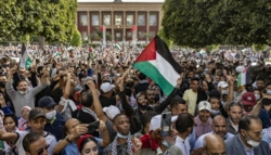 Les manifestations se poursuivent dans les villes et capitales internationales pour dénoncer l'agression en cours contre la bande de Gaza