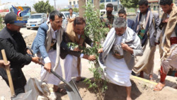 Les autorités de Sanaa supervisent la campagne de plantation d'arbres fruitiers