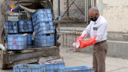 Dhamar Fisheries Office seizes quantity of damaged fish