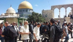 مستوطنون بقيادة المتطرف 
