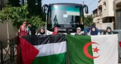 منسق 