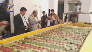 Stellvertretende Gouverneur von Sana'a inspiziert den Arbeitsfortschritt bei der Al-Fath Gesellschaft für landwirtschaftliche Produktion und Vermarktung
